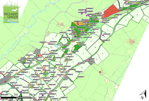 Extended Phase 1 Habitat Survey