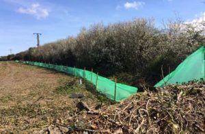 Mitigation and Management Plans - Reptile Fencing
