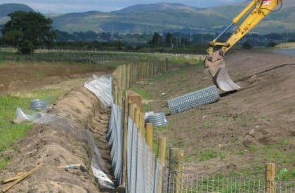 Otter Survey - Fencing Construction