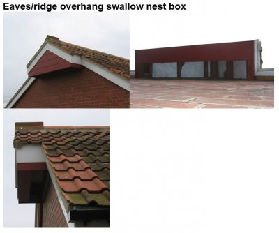 Swallow Nest Box