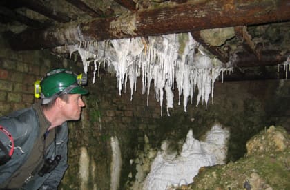 Underground Ecological Survey