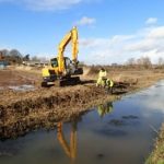 Water Vole Mitigation