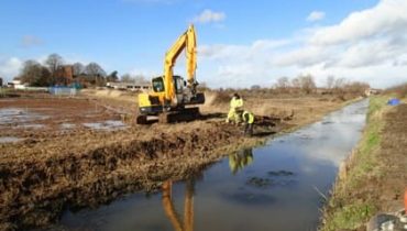 Water Vole Mitigation