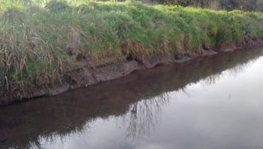 Water Vole Survey