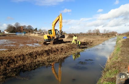 Water Vole Survey - Mitigation