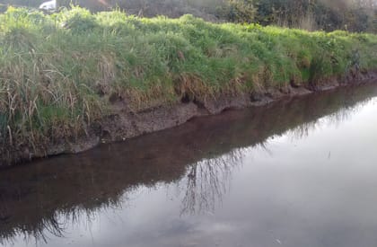 Water Vole Survey