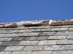 Bat access ridge tile