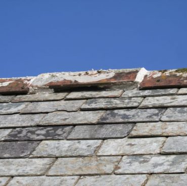 Bat access ridge tile Bat access ridge tile