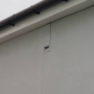 Bat box built into house