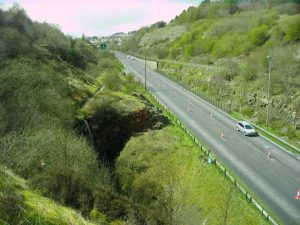 Bats and Roads - Featured
