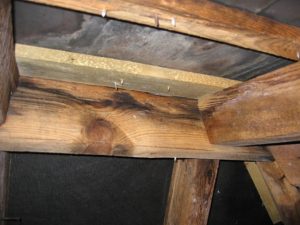 Stained roof timbers in house loft