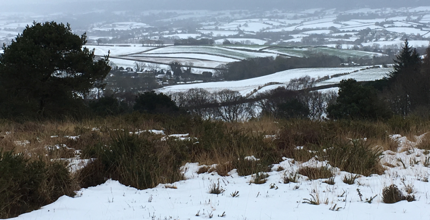 Spring is on its way, despite the Beast from the East!