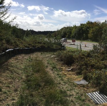 Adder mitigation on the trunk road network