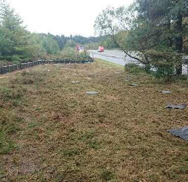 Adder mitigation on the trunk road network