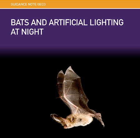 Bats and artificial lighting at night